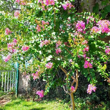 Palma Trsat With Free Private Parking Apartmán